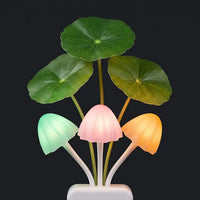 Lotus Leaf